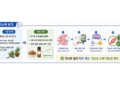 잣나무 잎, 떨어진 근력·에너지 회복! ‘천연 항피로’ 소재 가능성