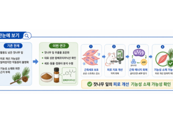 잣나무 잎, 떨어진 근력·에너지 회복! ‘천연 항피로’ 소재 가능성